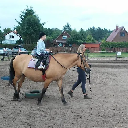 Mile Z Basenem - Tatil parkı Lubiatowo (Pomerania)