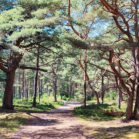 Mile Z Basenem - * Lubiatowo (Pomerania)