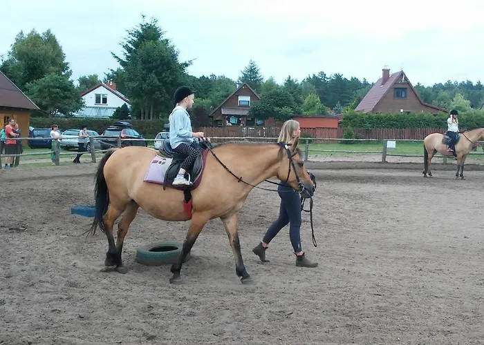 Mile Z Basenem - منتزه العطل لوبيتاتو