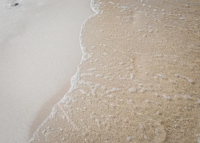 Mile Z Basenem - منتزه العطل