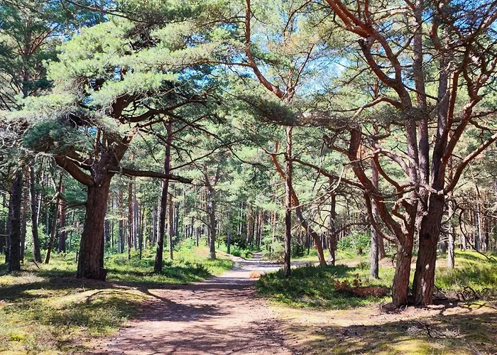 Mile Z Basenem - * لوبيتاتو